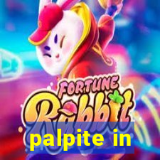 palpite in